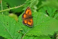 10 07 16_9011_edited-1